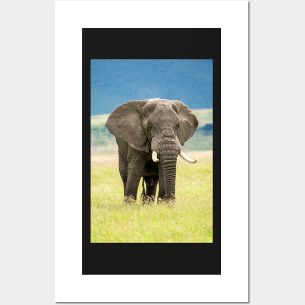 Elephant, Ngorongoro Crater, Tanzania Wall Art by AndrewGoodall